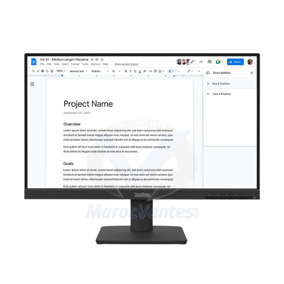 LENOVO Moniteur S22-4e 21,5
